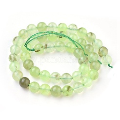 Natural Prehnite Beads Strands&nbsp;G-I250-01D