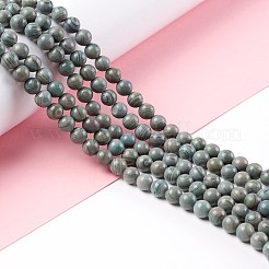 Natural Silver Line Jasper Beads Strands&nbsp;G-P451-02B-E
