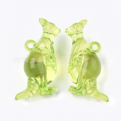 Transparent Acrylic Pendants&nbsp;TACR-S133-113