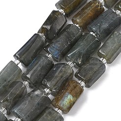 Natural Labradorite Beads Strands&nbsp;G-C270-K19-02