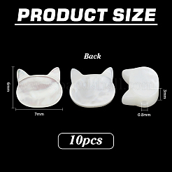 10Pcs Natural White Shell Beads&nbsp;SHEL-PH0001-71
