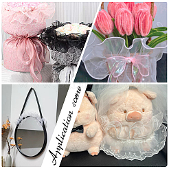 2M Organza Ribbon&nbsp;OCOR-WH0070-167A