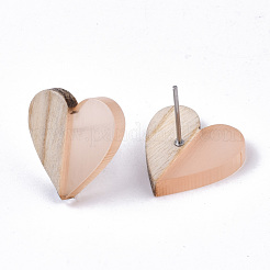Transparent Resin & Wood Stud Earrings&nbsp;EJEW-N017-002A-D07