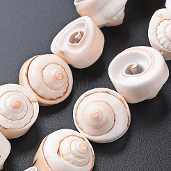 Natural Spiral Shell Bead Strands&nbsp;X-SSHEL-N034-106