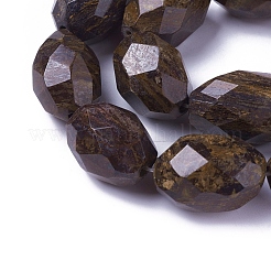 Natural Bronzite Beads Strands&nbsp;G-P422-14