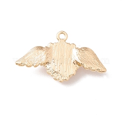 Rack Plating Alloy Pendants&nbsp;FIND-G016-01G