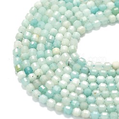 Natural Flower Amazonite Beads Strands&nbsp;G-A260-A51-01