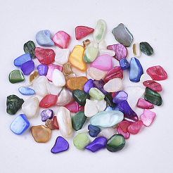 Natural Freshwater Shell Beads&nbsp;SHEL-N003-03