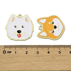 Alloy Enamel Pendants&nbsp;FIND-I064-04G-03