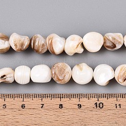 Natural Freshwater Shell Beads Strands&nbsp;SSHEL-N040-15