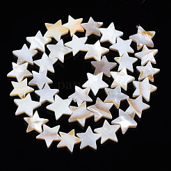 Natural Freshwater Shell Beads Strands&nbsp;LS-SHEL-S278-01C-01