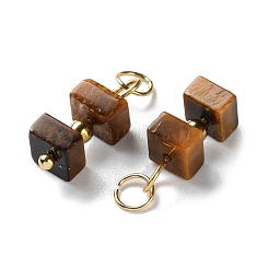 Natural Tiger Eye Cuboid Beaded Pendants&nbsp;STAS-C120-02G-05
