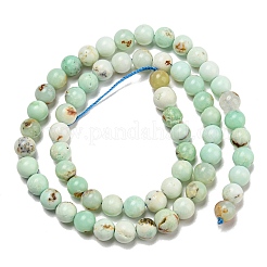 Natural Green Opal Beads Strands&nbsp;G-R494-A08-02