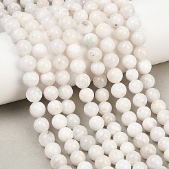 Round Grade A Natural Rainbow Moonstone Bead Strands&nbsp;G-M304-06-8.5mm