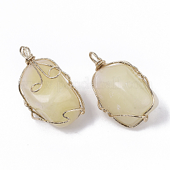 Dyed Natural White Jade Wire Wrapped Pendants&nbsp;G-N326-15D