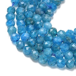 Natural Apatite Beads Strands&nbsp;G-Z160-A01-4mm