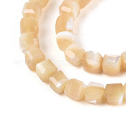 Natural Trochid Shell/Trochus Shell Beads Strands&nbsp;SSHEL-N041-04B-02
