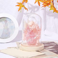 Glass Dome Cover&nbsp;ODIS-WH0010-41B