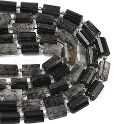 Natural Tourmalinated Quartz Beads Strands&nbsp;G-G453-E08-10x14mm