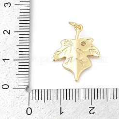 Brass Micro Pave Cubic Zirconia Pendants&nbsp;KK-U062-18G