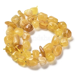 Natural Amber Beads Strands&nbsp;G-L095-F01-02