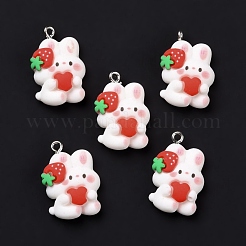 Resin Pendants&nbsp;X-RESI-M026-11