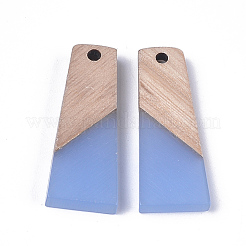 Resin & Wood Pendants&nbsp;RESI-S358-59E
