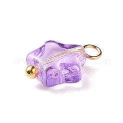 Glass Charms&nbsp;PALLOY-JF01731