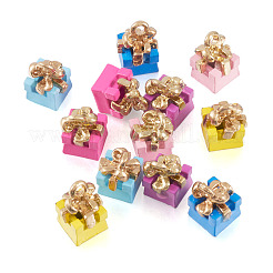 DIY Dangle Earring Making Kit&nbsp;DIY-TA0006-69