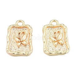 Brass Charms&nbsp;KK-N231-377
