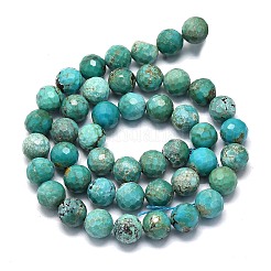 Natural HuBei Turquoise Beads Strands&nbsp;G-G106-C12-08
