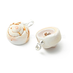 Natural Shiva Eye Shell Pendants&nbsp;PALLOY-JF05393