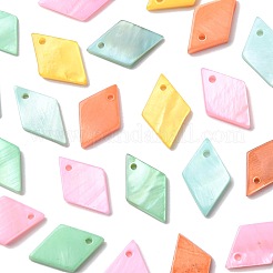 24Pcs 5 Styles Spray Painted Natural Freshwater Shell Pendants&nbsp;BSHE-FS0001-14