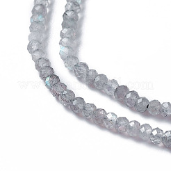 Natural Labradorite Beads Strands&nbsp;X-G-F596-07