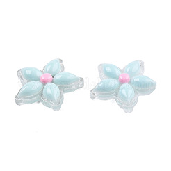 Transparent Resin Enamel Cabochons&nbsp;CRES-N018-053E