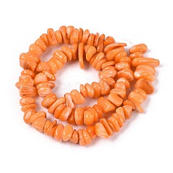 Dyed Natural Freshwater Shell Beads Strands&nbsp;BSHE-T014-55