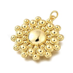 Brass Pendants&nbsp;KK-S523-08G