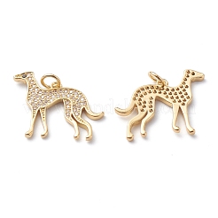 Brass Micro Pave Clear Cubic Zirconia Pendants&nbsp;ZIRC-H110-02G
