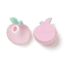 Transparent Resin Decoden Cabochons&nbsp;RESI-F024-03
