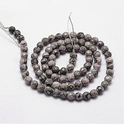 Natural Map Stone/Picasso Stone/Picasso Jasper Beads Strands&nbsp;G-D840-35-4mm