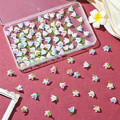 11 Sets Acrylic Beads Pendants&nbsp;FIND-SC0016-66