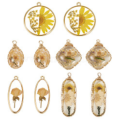 10Pcs 5 Styles Epoxy Resin Pendants&nbsp;FIND-TA0008-97
