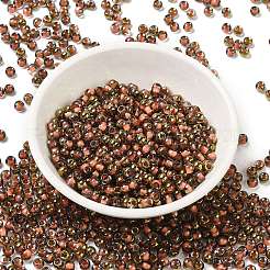 Glass Seed Beads&nbsp;X1-SEED-H002-B-D204