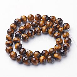 Gemstone Beads Strands&nbsp;GSR8MMC014-A