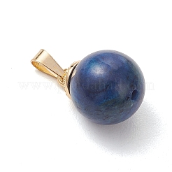 4Pcs 4 Styles Natural Lapis Lazuli & Carnelian & Tiger Eye & Picture Jasper Pendants&nbsp;PALLOY-JF05228
