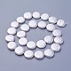 Shell Pearl Beads Strands&nbsp;BSHE-P030-01D-1