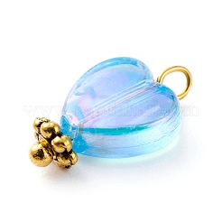 Eco-Friendly Transparent Acrylic Charms&nbsp;PALLOY-JF00749-02