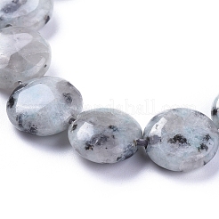 Natural Sesame Jasper/Kiwi Jasper Beads Strands&nbsp;G-G805-D13