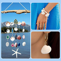 Shell Pendants&nbsp;SSHEL-TA0001-03