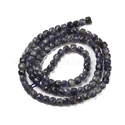 Natural Iolite Beads Strands&nbsp;G-H042-A52-02